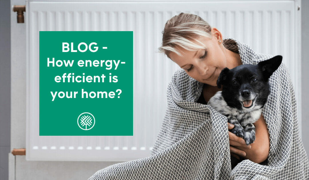 How energy-efficient is your home?