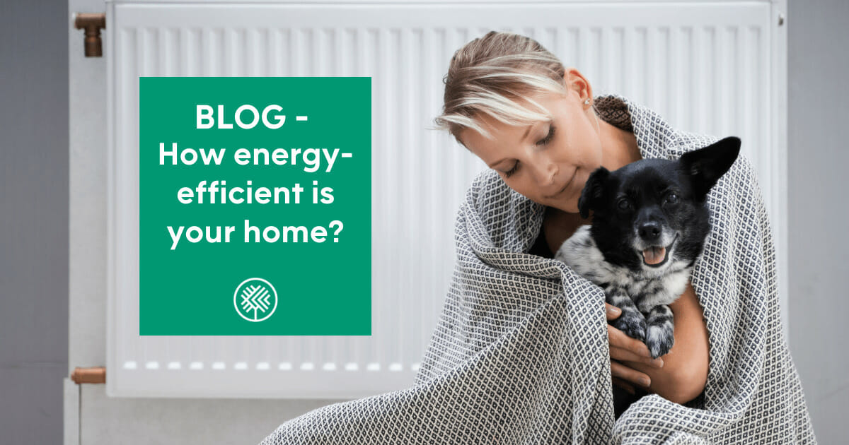 How energy-efficient is your home?