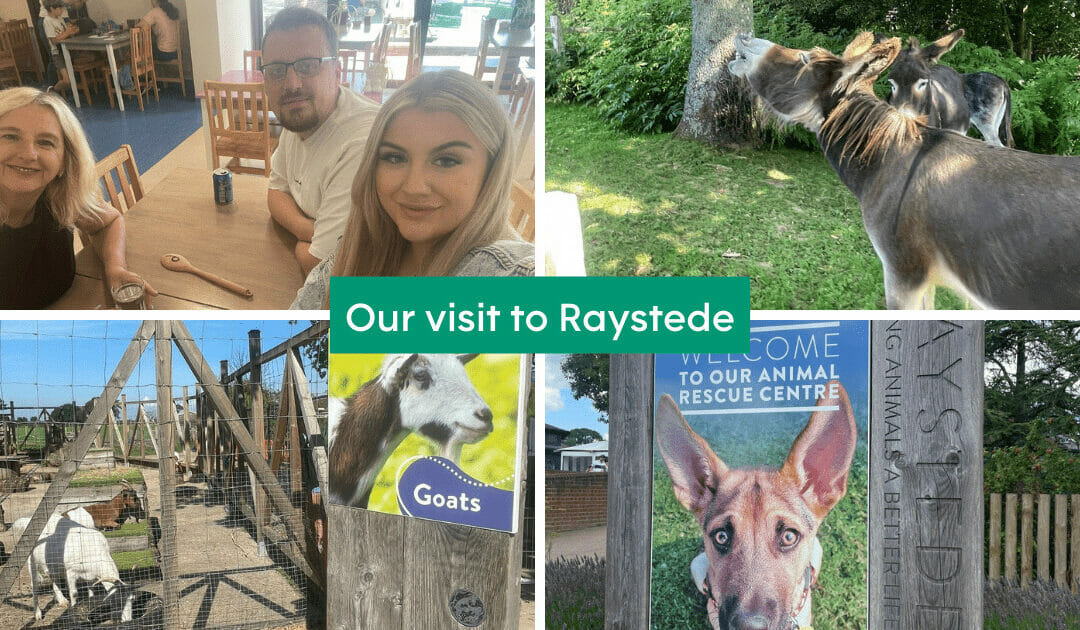 Our Visit to Raystede Centre for Animal Welfare