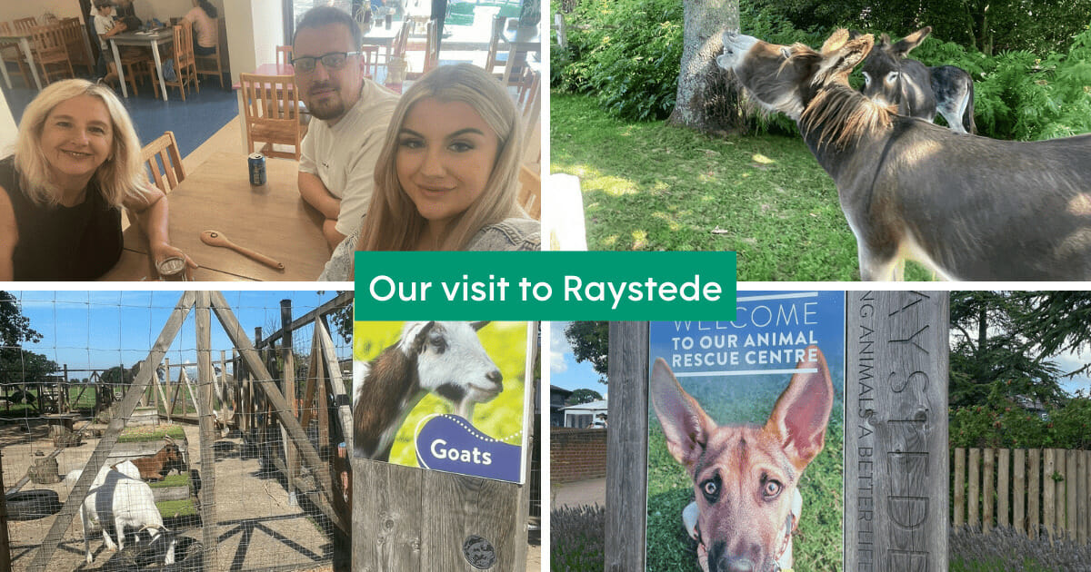 Our Visit to Raystede Centre for Animal Welfare