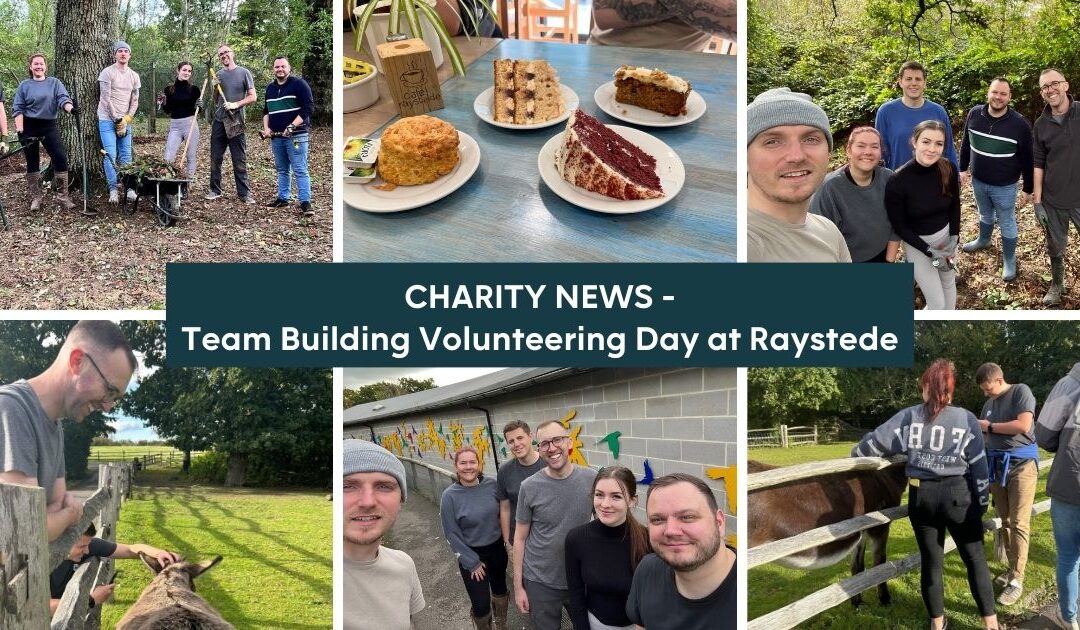 Team Building Volunteering Day at Raystede