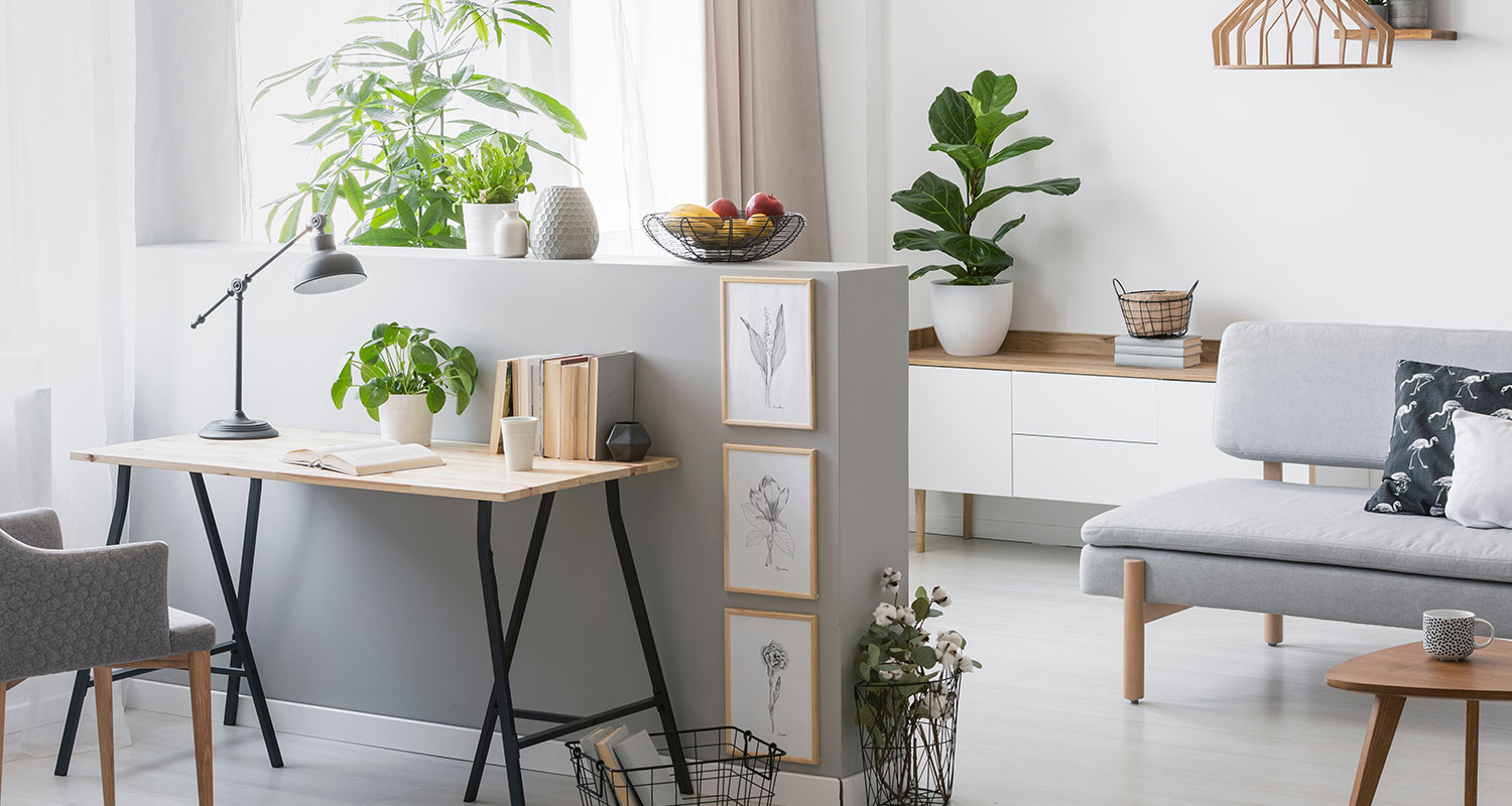 Rented home personalised with houseplants and freestanding furnishings.
